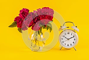 Old clock and red rose flower in vase on yellow background