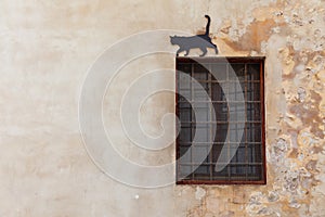 Old closed and barred window on building facade with cat silhouette.