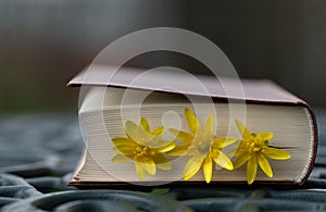 An old closed book lies on a garden table. A few yellow flowers are tucked into the book. Soft light can be seen in the background