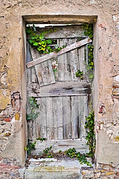 Old closed traditional wooden door against an old plaster wall covered in ivy