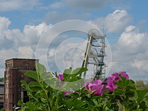 Old coal mine in the ruhr aerea photo