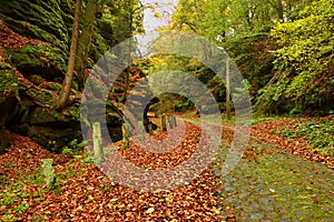 Old cobble stone way lined by stony milestones in deep gulch in autumn forest. Old orange leaves.