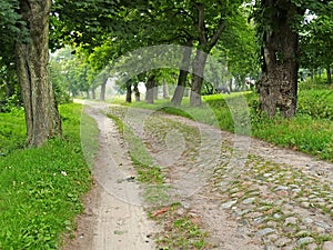 Old cobbled road of the German construction. Primorsk, Kaliningrad region