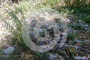 Old cobbles covered with moss