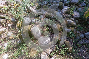 Old cobbles covered with moss