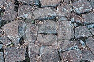 Old cobbles with grass