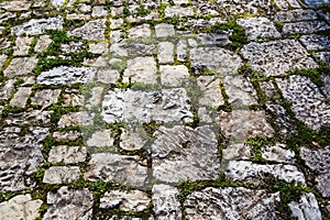 Old cobblestone pavement with moss