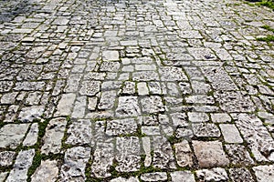 Old cobblestone pavement with moss