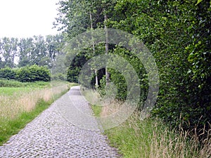 Old cobblestone road in forest.