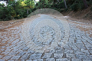 Old cobblestone road in the forest