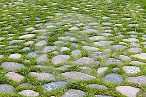 Old cobblestone road with grass between stones