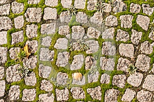 Old cobblestone road with grass between stones. Texture and background
