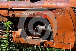 Old Cockshutt tractor buried in the weeds