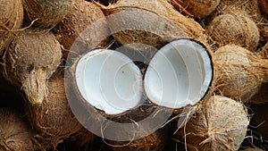 Old coconuts that have been cut and coconuts that are still uncut