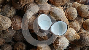 Old coconuts that have been cut and coconuts that are still uncut