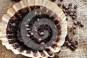 Old Coffee Grounds and Coffee Filter