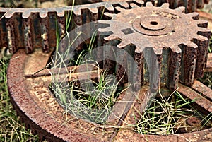 Old cogs