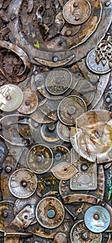 Old coins, Indian old coins were wedged into wood.
