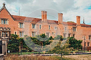 Old College Ivy Wall, Cambridge, England