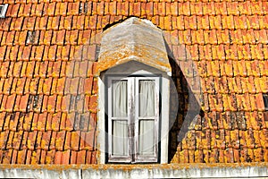 Old and colorful orange tiled roof in Lisbon