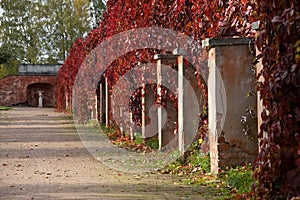 Old Columns in the Park