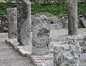 Old columns of a temple roman