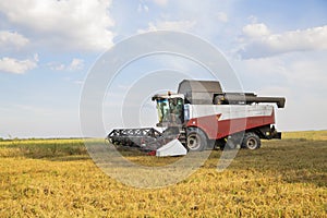 Old combine harvester harvests from the field