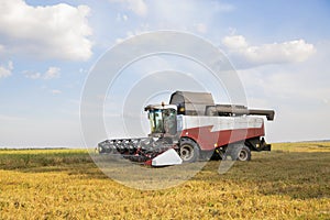 Old combine harvester harvests from the field