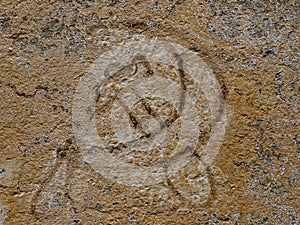 Old communism symbol on a wall