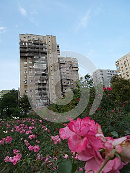 Old communist block