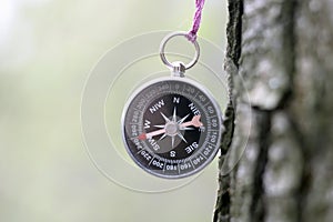 Old compass on tree in forest