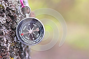 Old compass on tree in forest