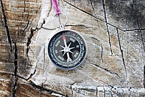 Old compass on tree in forest
