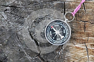 Old compass on tree in forest