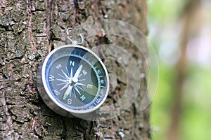 Old compass on tree in forest