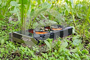 An old computer graphics card thrown into the street, lies in the grass and pollutes the nature