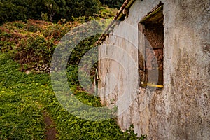 Old concrete building in a forest with greenery