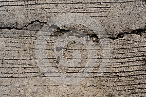 Old concrete crack