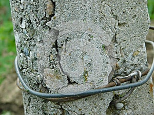 Old concrete pillar interspersed with shells and glass