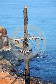 Old concrete pole power line