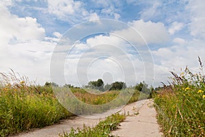 Old concrete road. Summer landscape with an abandoned road