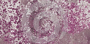 Old concrete slab texture with purple moss