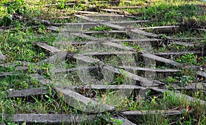 Old concrete slabs covered with grass,