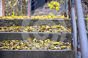 Old concrete staircase, strewn with yellow fallen leaves. Golden autumn. Vertical photo. Close-up.