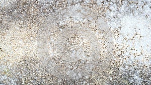 Old concrete surface Dirty and rough, weathered, seamless textured gray background