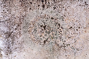 Old concrete wall fragment background