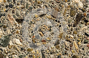 Old concrete wall with pieces of stones and cobbles background texture, weathered cement wall with pebble texture, grunge