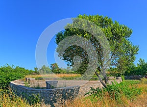 Old concrete water tank and tree in Dalmatian hinterland