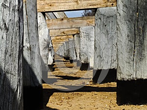 Old construction made of wooden logs, wooden logs covered with salt tarnish