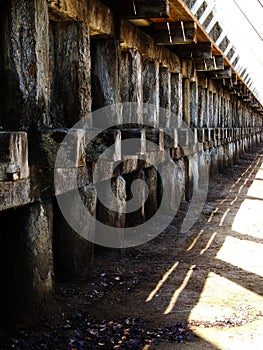 Old construction made of wooden logs, wooden logs covered with salt tarnish